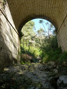 Un ponte nella macchia mediterranea