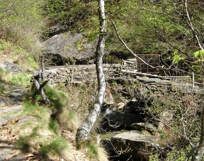 ''un ponte con piccolo cancello per fermare gli animali'' - Cavaglio-Spoccia