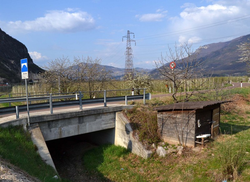 ''A forza di pagare tasse….'' - Trento