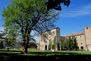 I platani di Maria Luigia