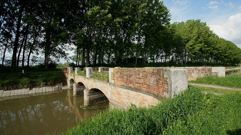 ''visto di lato'' - Salvirola