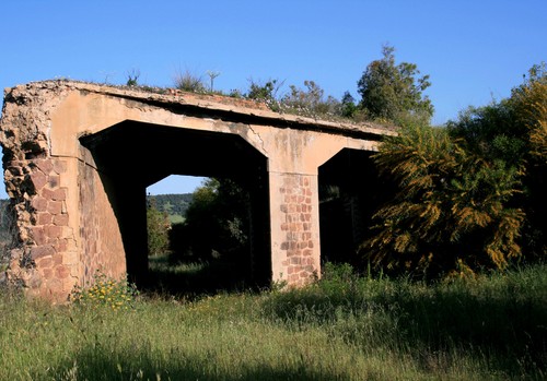 65207-800x558 65207-800x558