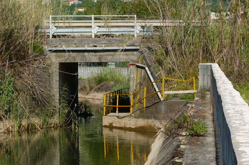 65241-800x531 65241-800x531