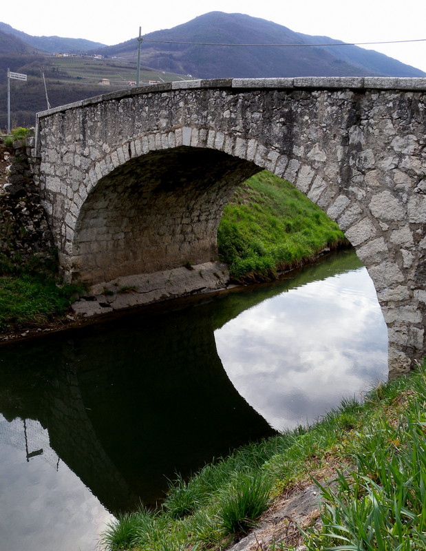 ''Mezzo riflesso'' - Mezzocorona