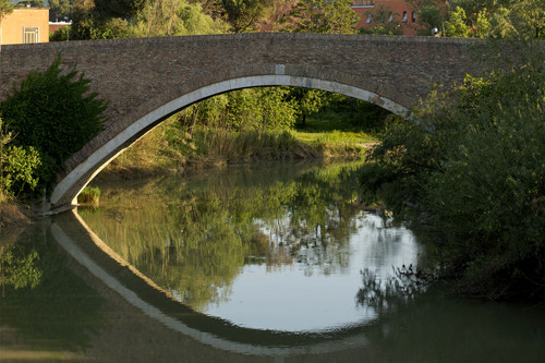 65636-800x533 65636-800x533