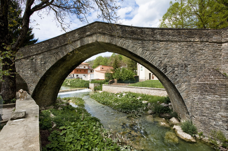 ''Fido fà la guardia al vecchio Ponte Romano'' - Apecchio