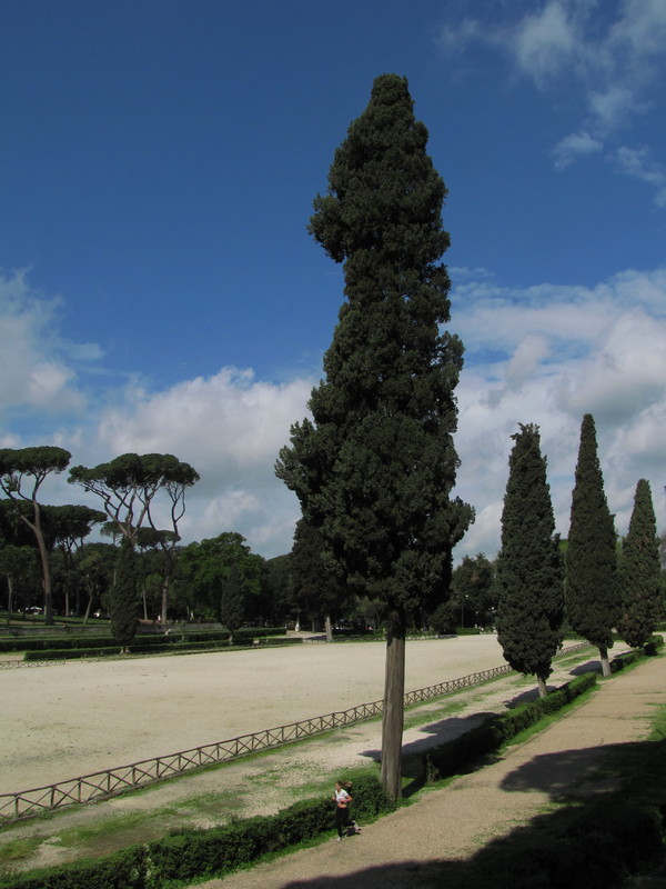''Allenamento'' - Roma