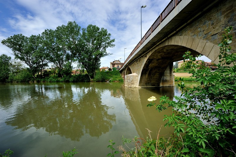 ''cogliendo il primo fiore sotto Ponte Nuovo'' - Torgiano