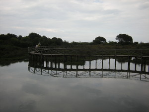 Ponte sulla laguna veneta – Porto Caleri
