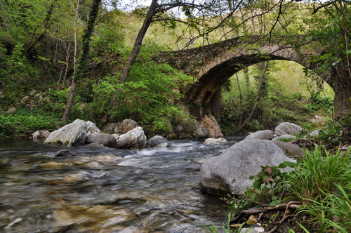 66789-800x531 66789-800x531