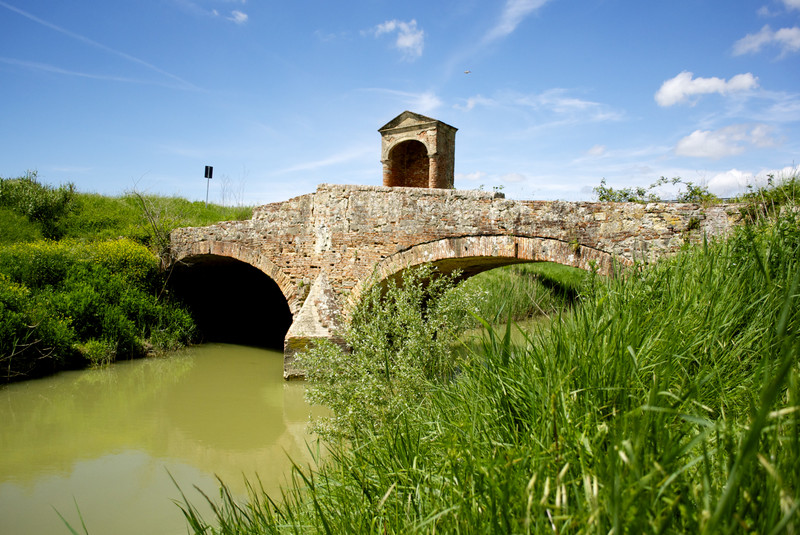 ''Volo lontano'' - Collesalvetti