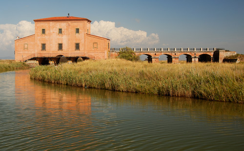 67045-800x494 67045-800x494