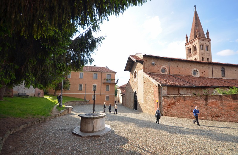 ''pino ma quanto sei invadente!'' - Saluzzo