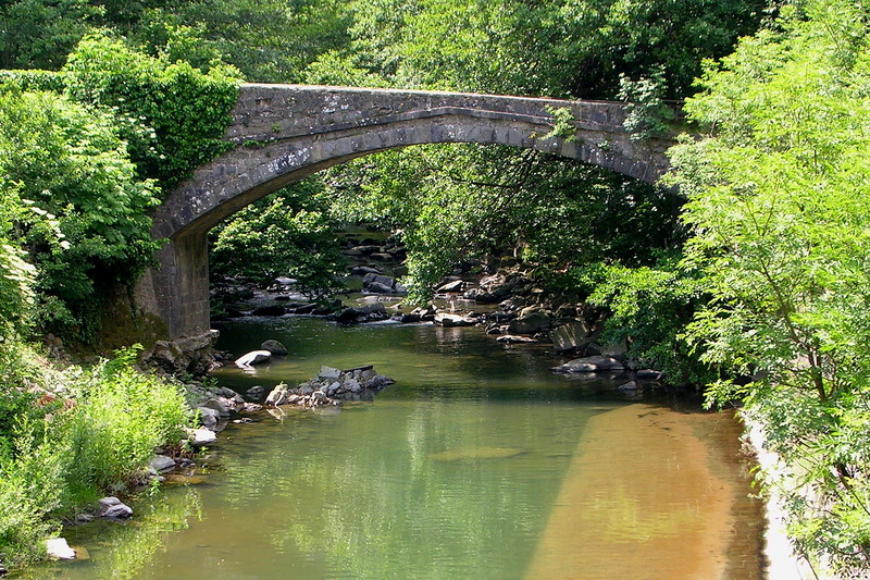 ''Nel Verde'' - Pistoia