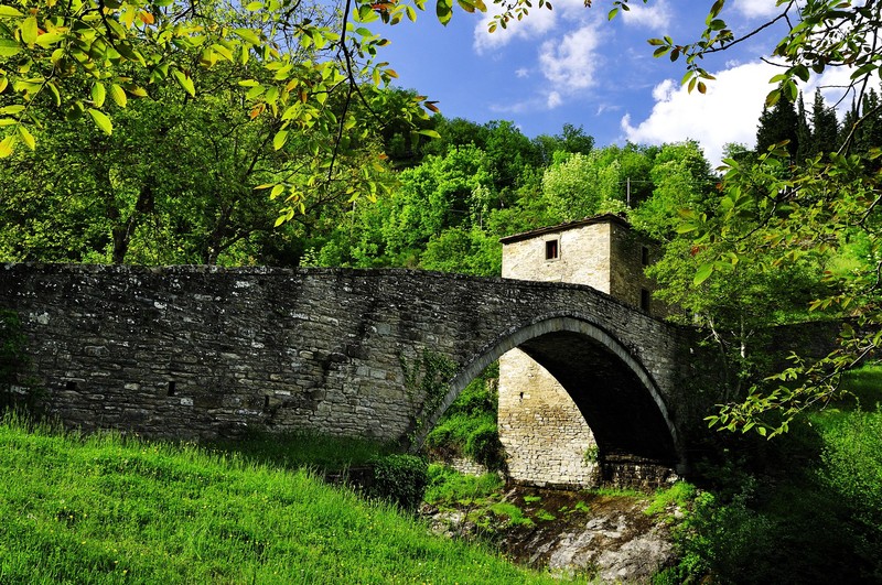 ''ponte a schiena d’asino'' - Bagno di Romagna