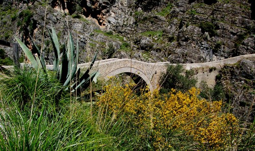 68251-800x472 68251-800x472