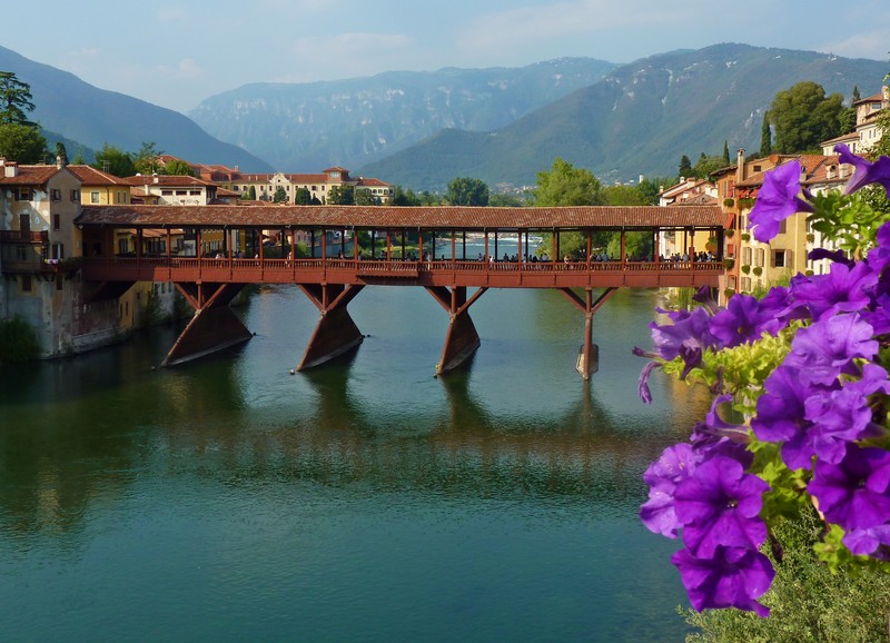 ''Surfinie'' - Bassano del Grappa