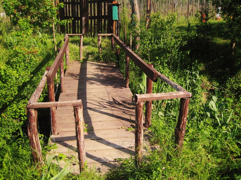 ''Ponticello rurale nelle campagne di Certaldo (FI)'' - Certaldo