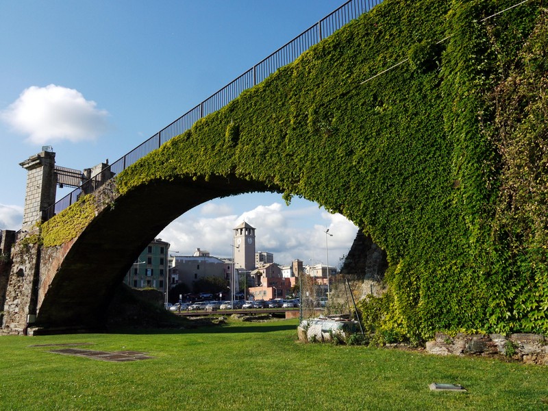 ''E’ Primavera …'' - Savona