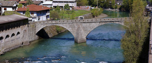 Ponte Hone_Bard