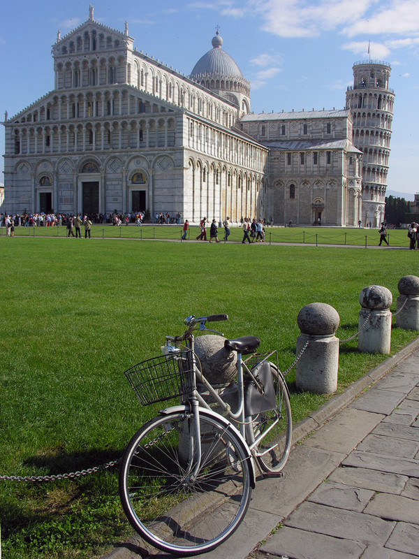 ''Tanto verde per una piazza famosa'' - Pisa