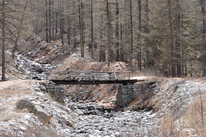 ''Ponticello di montagna'' - Valsavarenche