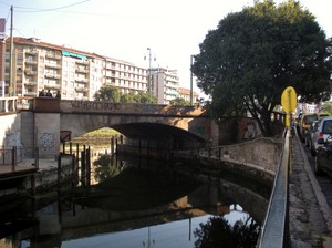 Il ponte e l’albero