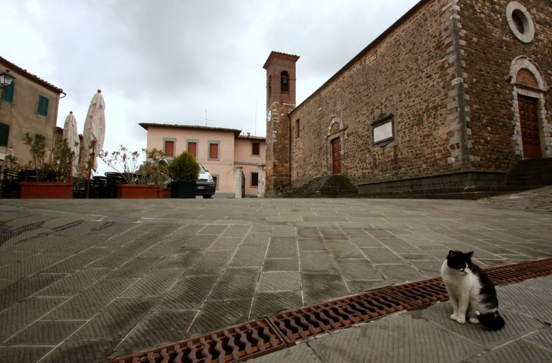 ''micio..miciooo'' - Montalcino