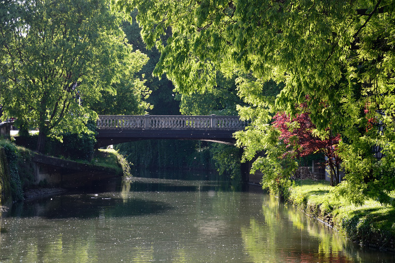 ''Immerso nel verde'' - Cernusco sul Naviglio