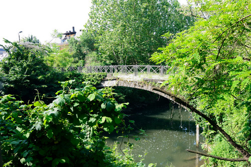 71465-800x533 71465-800x533