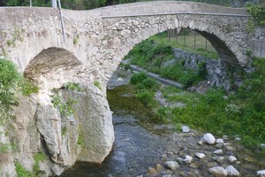 ponte storico di Ellera