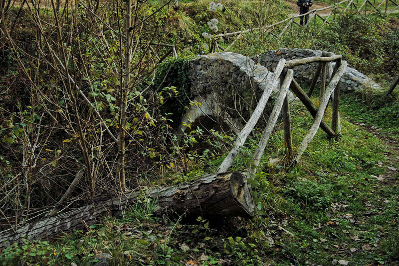 ''nascosto nel bosco'' - Nasino