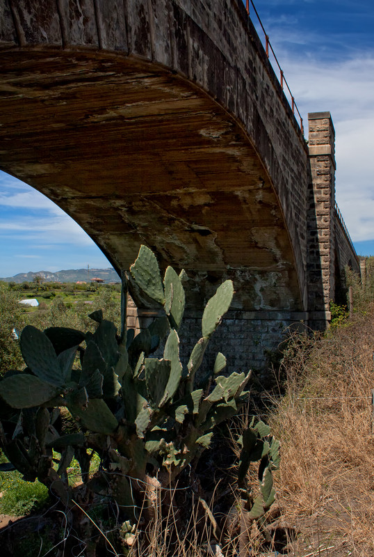 ''Incontro nelle assolate campagne di Paterno’'' - Paternò