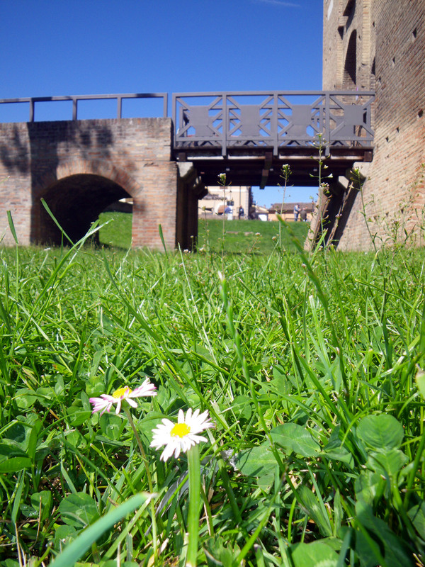 ''ponte nel verde'' - Forlimpopoli