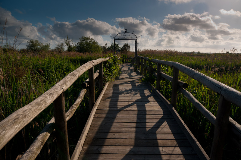 ''Tranquillità'' - Massarosa