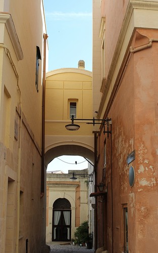 72445-500x800 72445-500x800