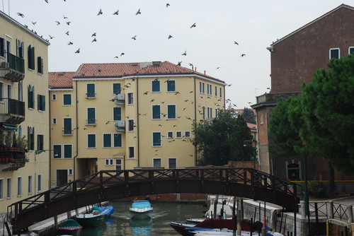 72697-800x535 72697-800x535