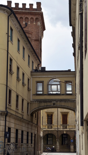 73003-458x800 73003-458x800