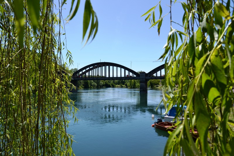 ''Cornice alberata'' - Brivio
