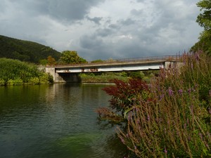 Vegetazione di Piediluco