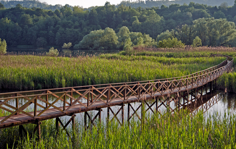 ''Oasi da Paradiso…dedicato a pitzimba'' - Villa d'Adda