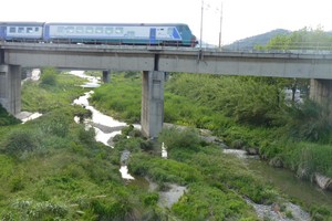 ponte con treno