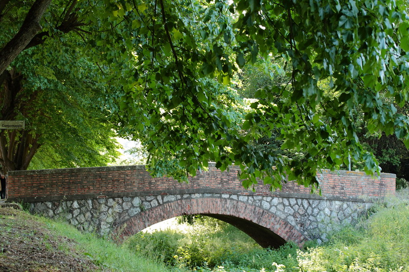 ''Via Campomaggio'' - Vicopisano