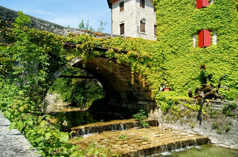 ''Invasion'' - Follina