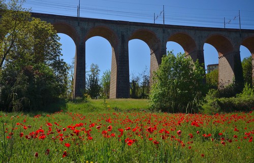 75421-800x514 75421-800x514