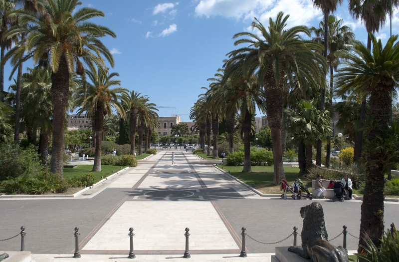 ''Tra le file di palme'' - Bisceglie