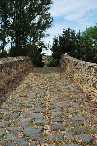 76031-535x800 76031-535x800