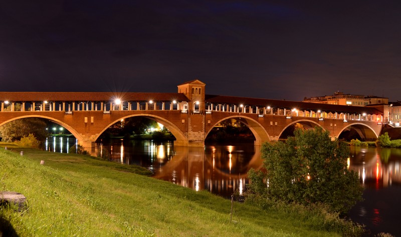 ''Hic est nidus nidorum'' - Pavia