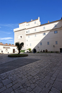 La piazza, il cinema