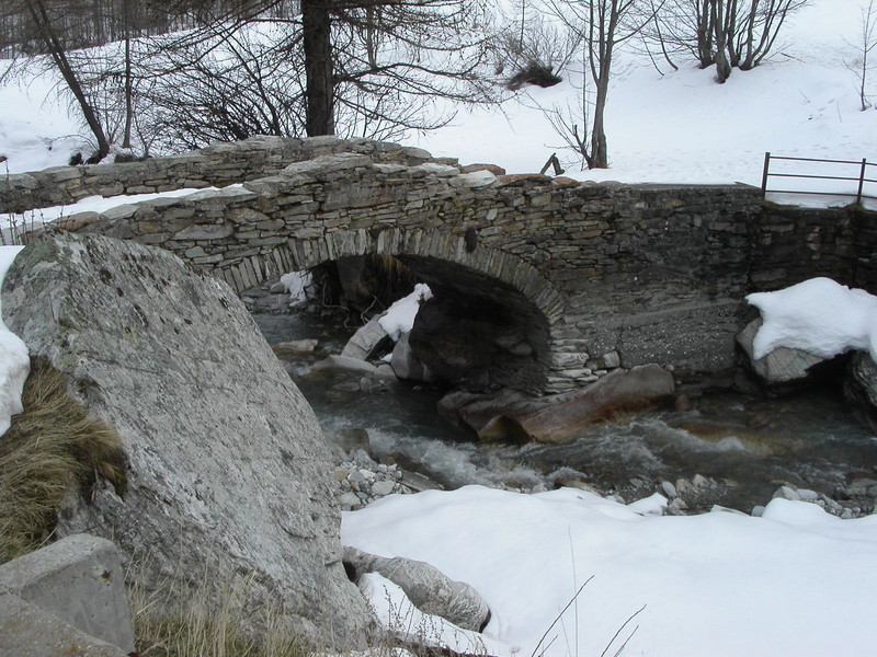 ''Bellino'' - Bellino